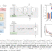 Meta AI Introduces UMA (Universal Models for Atoms): A Family of Universal Models for Atoms